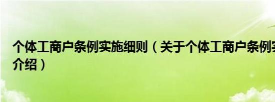 个体工商户条例实施细则（关于个体工商户条例实施细则的介绍）