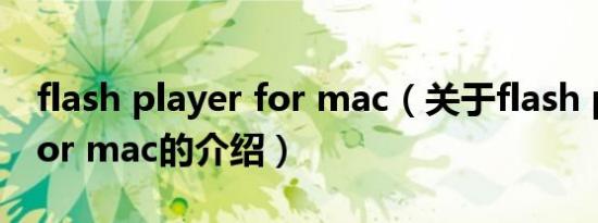 flash player for mac（关于flash player for mac的介绍）