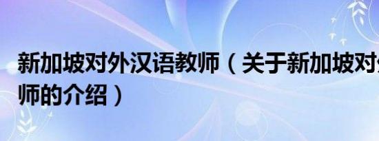 新加坡对外汉语教师（关于新加坡对外汉语教师的介绍）