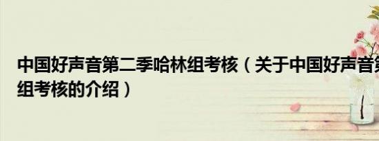 中国好声音第二季哈林组考核（关于中国好声音第二季哈林组考核的介绍）