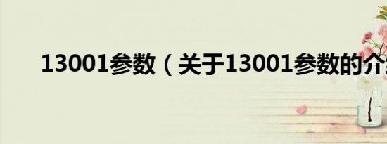 13001参数（关于13001参数的介绍）