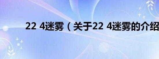 22 4迷雾（关于22 4迷雾的介绍）