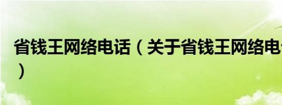 省钱王网络电话（关于省钱王网络电话的介绍）