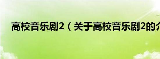 高校音乐剧2（关于高校音乐剧2的介绍）