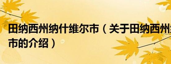 田纳西州纳什维尔市（关于田纳西州纳什维尔市的介绍）