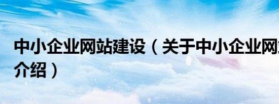 中小企业网站建设（关于中小企业网站建设的介绍）