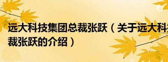 远大科技集团总裁张跃（关于远大科技集团总裁张跃的介绍）