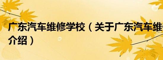 广东汽车维修学校（关于广东汽车维修学校的介绍）