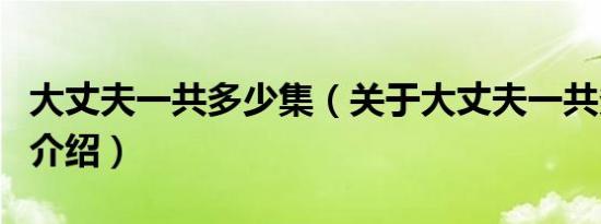 大丈夫一共多少集（关于大丈夫一共多少集的介绍）