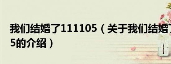 我们结婚了111105（关于我们结婚了111105的介绍）