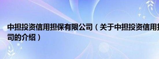 中担投资信用担保有限公司（关于中担投资信用担保有限公司的介绍）