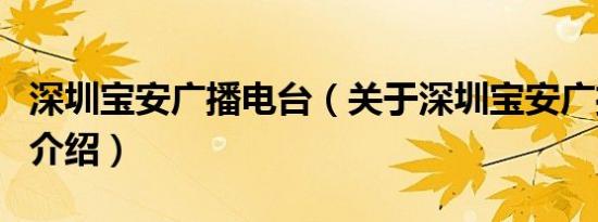 深圳宝安广播电台（关于深圳宝安广播电台的介绍）