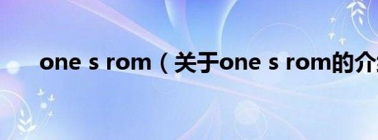 one s rom（关于one s rom的介绍）