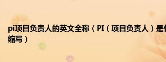 pi项目负责人的英文全称（PI（项目负责人）是什么英文的缩写）