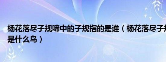 杨花落尽子规啼中的子规指的是谁（杨花落尽子规啼的子规是什么鸟）