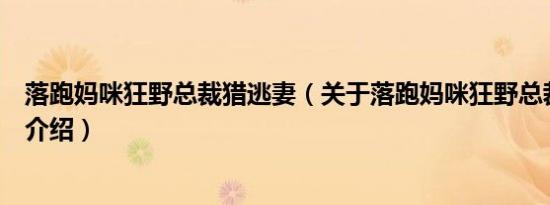 落跑妈咪狂野总裁猎逃妻（关于落跑妈咪狂野总裁猎逃妻的介绍）