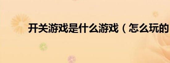 开关游戏是什么游戏（怎么玩的）