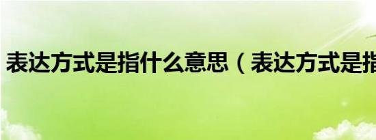 表达方式是指什么意思（表达方式是指什么）