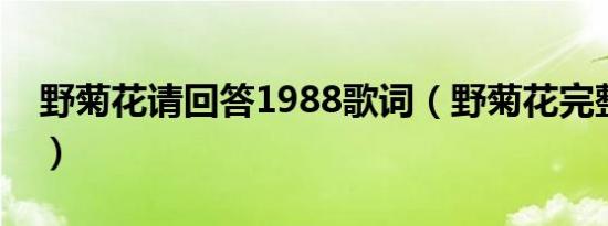 野菊花请回答1988歌词（野菊花完整版歌词）