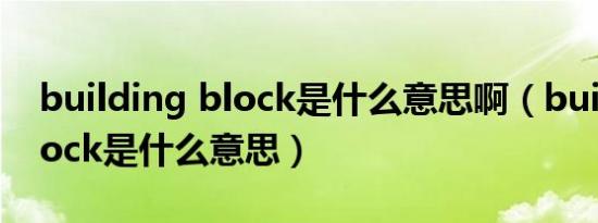 building block是什么意思啊（buildingblock是什么意思）