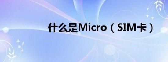 什么是Micro（SIM卡）