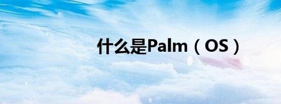 什么是Palm（OS）