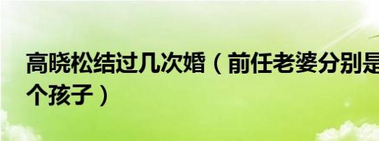 高晓松结过几次婚（前任老婆分别是谁 有几个孩子）