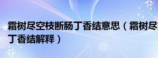 霜树尽空枝断肠丁香结意思（霜树尽空枝断肠丁香结解释）