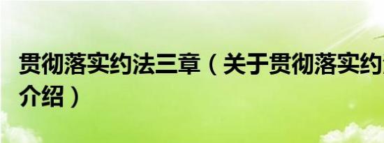 贯彻落实约法三章（关于贯彻落实约法三章的介绍）