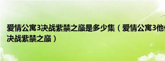 爱情公寓3决战紫禁之巅是多少集（爱情公寓3他们在第几集决战紫禁之巅）