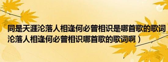 同是天涯沦落人相逢何必曾相识是哪首歌的歌词（同是天涯沦落人相逢何必曾相识哪首歌的歌词啊）