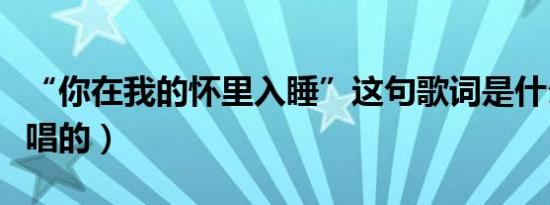 “你在我的怀里入睡”这句歌词是什么歌（谁唱的）