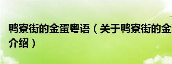 鸭寮街的金蛋粤语（关于鸭寮街的金蛋粤语的介绍）