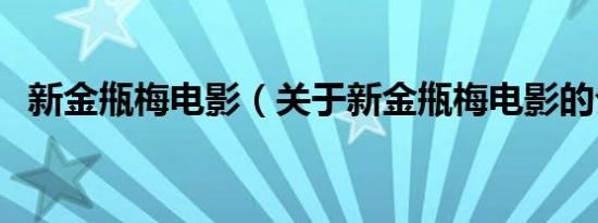 新金甁梅电影（关于新金甁梅电影的介绍）