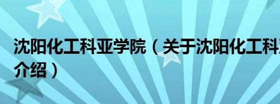 沈阳化工科亚学院（关于沈阳化工科亚学院的介绍）