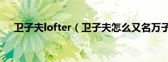 卫子夫lofter（卫子夫怎么又名万子衿）