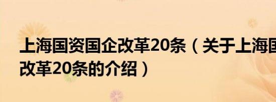 上海国资国企改革20条（关于上海国资国企改革20条的介绍）