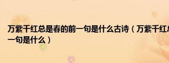 万紫千红总是春的前一句是什么古诗（万紫千红总是春的前一句是什么）