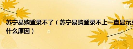 苏宁易购登录不了（苏宁易购登录不上一直显示系统异常是什么原因）