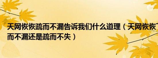 天网恢恢疏而不漏告诉我们什么道理（天网恢恢下一句是疏而不漏还是疏而不失）