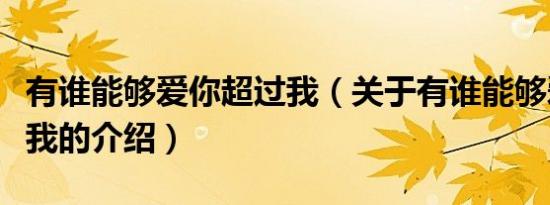 有谁能够爱你超过我（关于有谁能够爱你超过我的介绍）