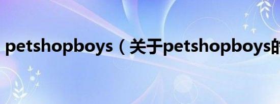 petshopboys（关于petshopboys的介绍）