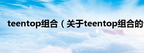 teentop组合（关于teentop组合的介绍）