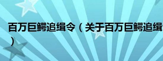 百万巨鳄追缉令（关于百万巨鳄追缉令的介绍）