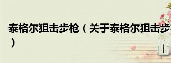 泰格尔狙击步枪（关于泰格尔狙击步枪的介绍）