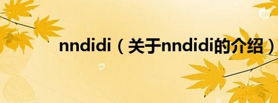 nndidi（关于nndidi的介绍）