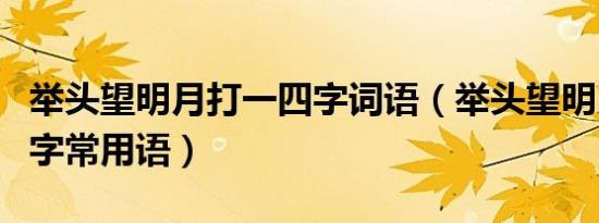 举头望明月打一四字词语（举头望明月打一四字常用语）