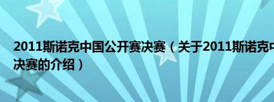 2011斯诺克中国公开赛决赛（关于2011斯诺克中国公开赛决赛的介绍）