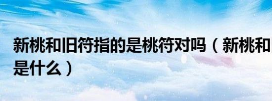 新桃和旧符指的是桃符对吗（新桃和旧符指的是什么）