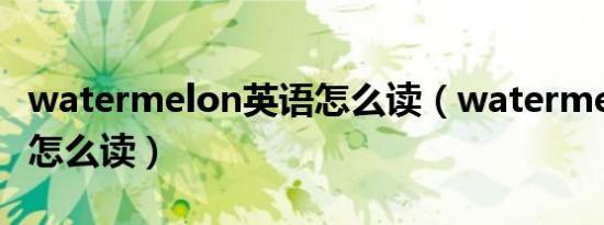 watermelon英语怎么读（watermelon英语怎么读）